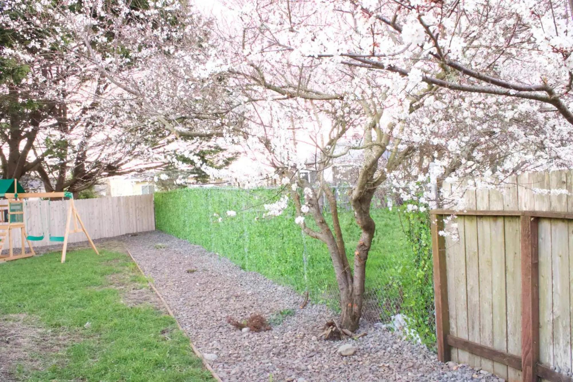 Private Home - Playground, Jumping Mat, Bbq, Darts, Firepit, Gazebo, 4 Smart Tvs, White Cotton Bedding, - The Redwood Cul-De Sac Beach Retreat クレセントシティ エクステリア 写真